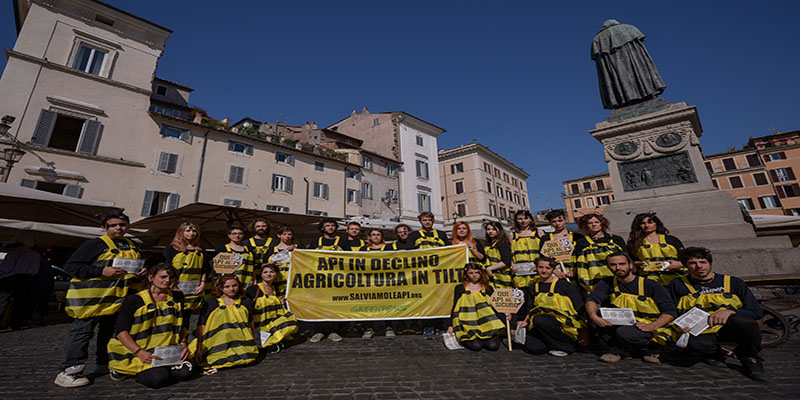 15-6-2013- Rome, Italy. Greenpeace volunteers.