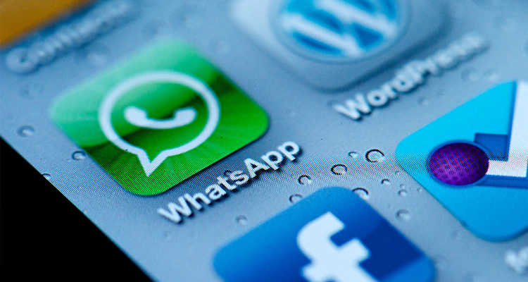 WhatsApp 350 milioni utenti